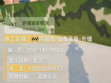 吉林 迷彩漆喷涂价格(按平方米计费)