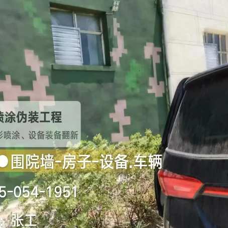 吉林数码迷彩漆施工